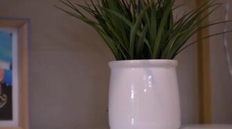 Jay and Pamela S02E01 WEB H264-RBB