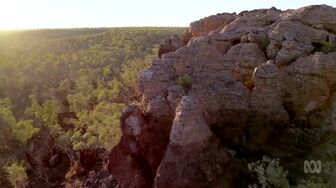 Back Roads AU S12E15 WEB H264-RBB